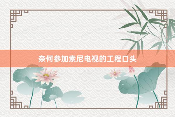 奈何参加索尼电视的工程口头